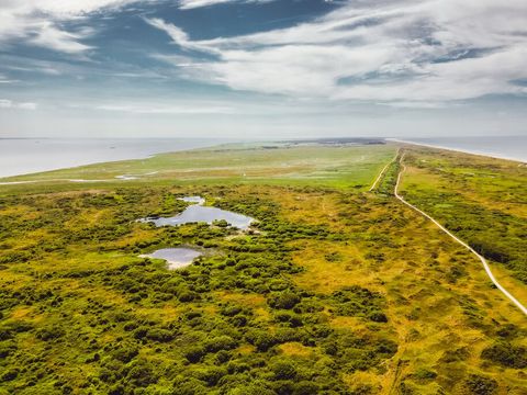 Roompot Vakantiepark Boomhiemke - Camping Ameland - Image N°23