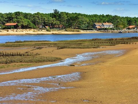 Résidence Les Balcons des Pêcheurs - Camping Landes - Image N°14