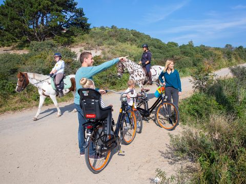 Roompot De Soeten Haert - Camping Renesse - Image N°4