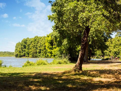 Club Belambra Estagnots - Pinède - Camping Landes - Image N°28