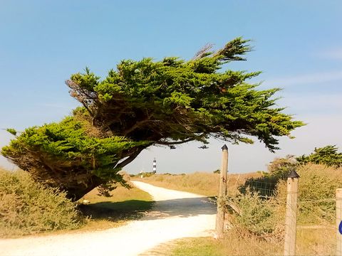 Résidence Les Sables Vignier  - Camping Charente-Maritime - Image N°20