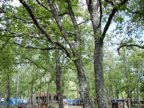 Camping Las Cavenes - Camping Salamanque - Image N°18