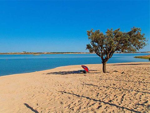 Camping Evora - Camping Alentejo - Portugal - Image N°27