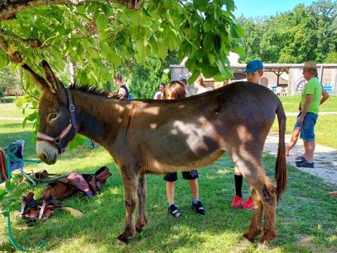 La Clairière - écolieu de vacances - Camping Lot - Image N°63