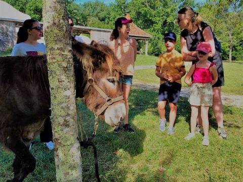 La Clairière - écolieu de vacances - Camping Lot - Image N°64