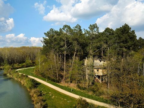 Center Parcs - Domaine Le Bois aux Daims - Camping Vienne - Image N°36