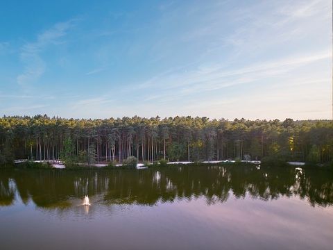 Center Parcs - Domaine des Hauts de Bruyères - Camping Loir-et-Cher - Image N°44