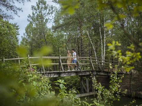 Center Parcs - Domaine des Hauts de Bruyères - Camping Loir-et-Cher - Image N°27