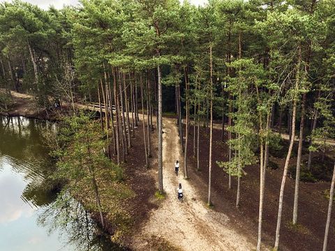 Center Parcs - Domaine des Hauts de Bruyères - Camping Loir-et-Cher - Image N°24