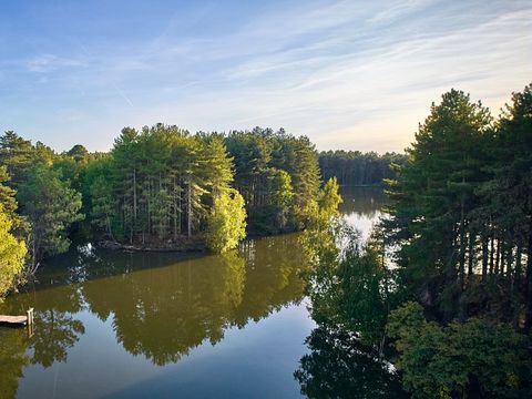 Center Parcs - Domaine des Hauts de Bruyères - Camping Loir-et-Cher - Image N°20