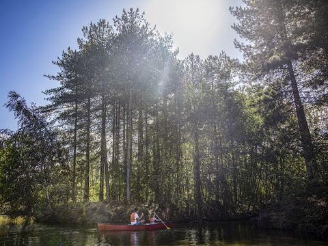 Center Parcs - Domaine des Hauts de Bruyères - Camping Loir-et-Cher - Image N°42