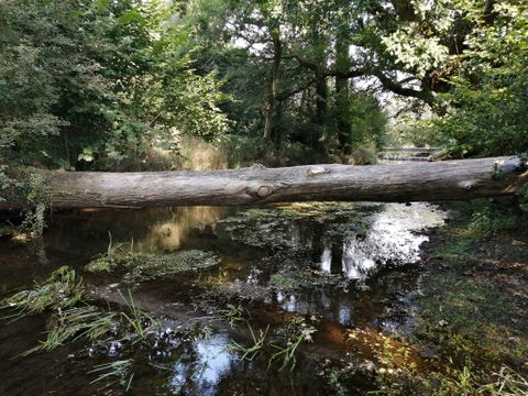 Camping de Kerisole - Camping Finistère - Image N°19