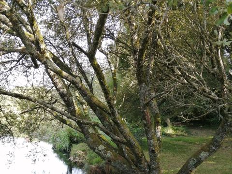 Camping de Kerisole - Camping Finistère - Image N°16