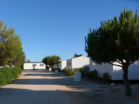 Camping Orbitur Sagres - Camping Algarve - Portugal - Image N°20