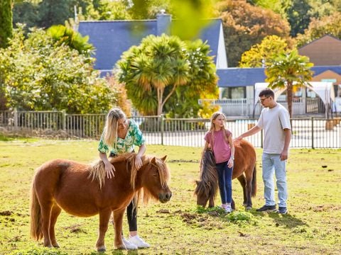 Camping Les Jardins du Morbihan - Camping Morbihan - Image N°49