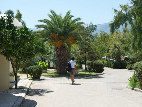 Camping Karavomilos Beach - Camping îles Ioniennes - Image N°8