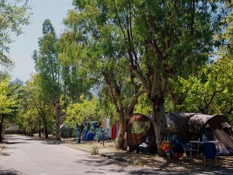 Camping Karavomilos Beach - Camping îles Ioniennes - Image N°16