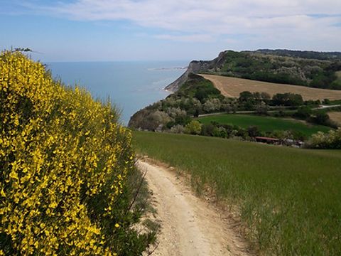 Camping Paradiso - Camping Pesaro et d'Urbino - Image N°12