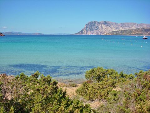 Residenze Gallura - Camping Olbia-Tempio - Image N°10