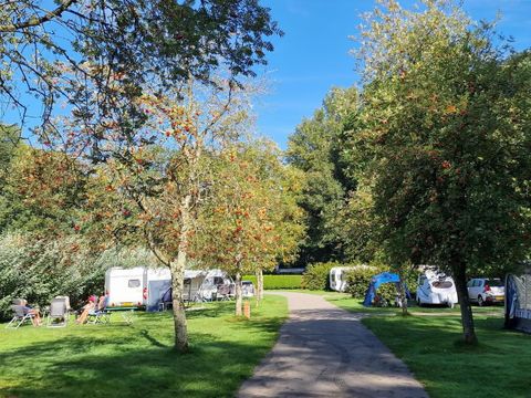 Château du Gandspette - Camping Pas-de-Calais - Image N°57