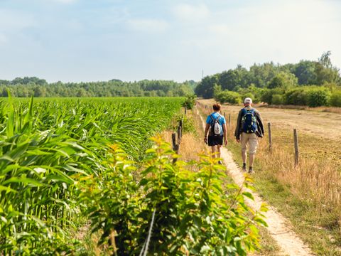 Vakantiepark Mölke - Camping Wierden - Image N°4