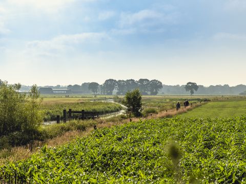 Vakantiepark Mölke - Camping Wierden - Image N°28