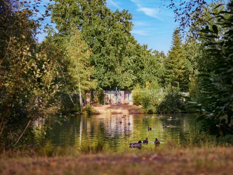 Center Parcs De Eemhof - Camping Zeewolde - Image N°77