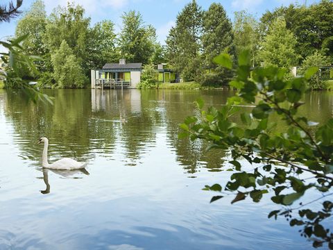 Center Parcs De Eemhof - Camping Zeewolde - Image N°70