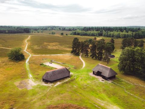 Roompot Bospark De Schaapskooi - Camping Epe - Image N°19