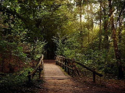 Center Parcs Het Meerdal - Camping Horst Aan de Maas - Image N°46