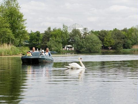 Center Parcs Het Meerdal - Camping Horst Aan de Maas - Image N°61