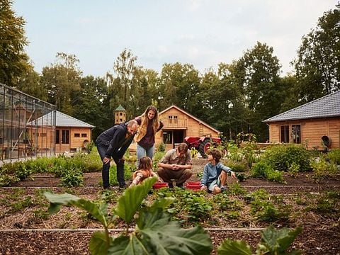 Center Parcs Het Meerdal - Camping Horst an der Maas - Image N°48