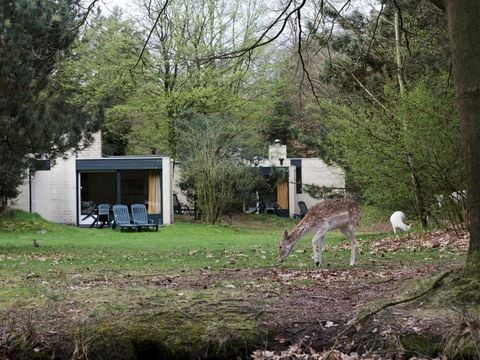 Center Parcs Het Meerdal - Camping Horst an der Maas - Image N°28