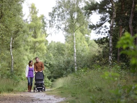 Center Parcs Het Meerdal - Camping Horst an der Maas - Image N°91