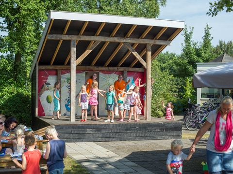 Recreatiepark Kaps - Camping Tubbergen - Image N°12