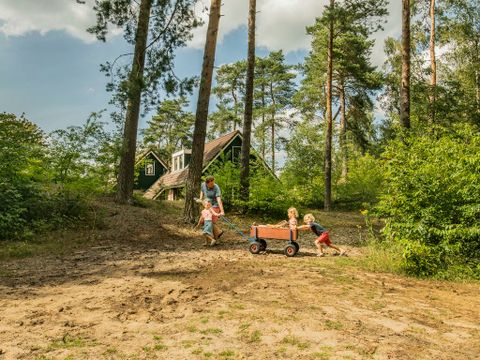 Landal Coldenhove - Camping Brummen - Image N°25