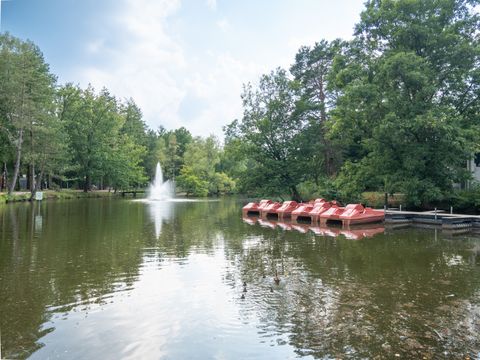 Landal Het Vennenbos - Camping Bladel - Image N°45