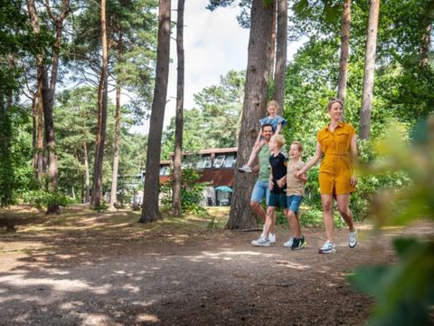 Landal Het Vennenbos - Camping Bladel