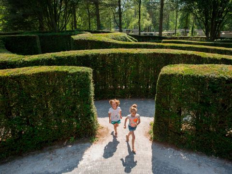 Landal Het Vennenbos - Camping Bladel - Image N°60