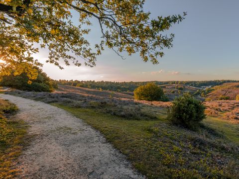 Landal Landgoed 't Loo - Camping Oldebroek - Image N°18