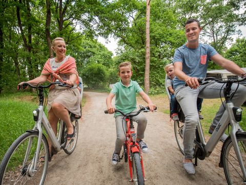 Landal Rabbit Hill - Camping Apeldoorn - Image N°2