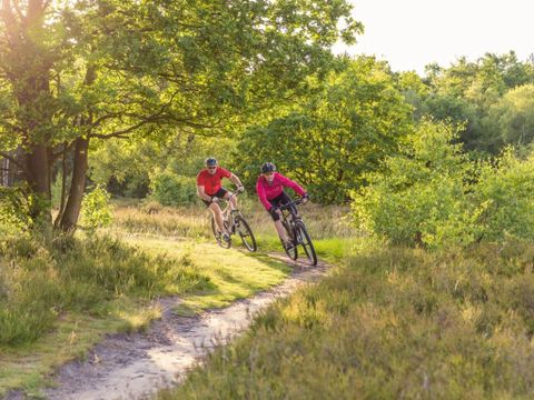 Landal Rabbit Hill - Camping Apeldoorn - Image N°28