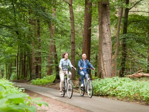 Landal Rabbit Hill - Camping Apeldoorn - Image N°26