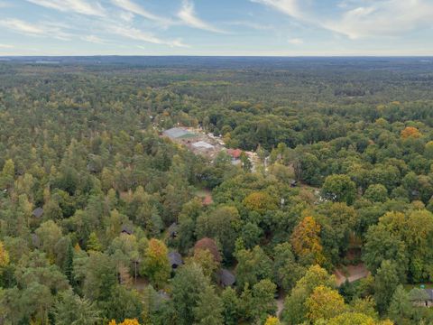 Landal Rabbit Hill - Camping Apeldoorn - Image N°16