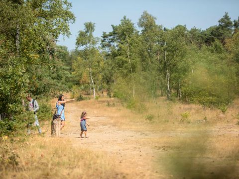 Landal Rabbit Hill - Camping Apeldoorn - Image N°10