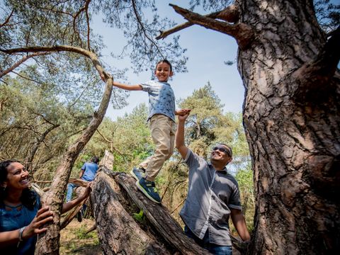 Landal Rabbit Hill - Camping Apeldoorn - Image N°24