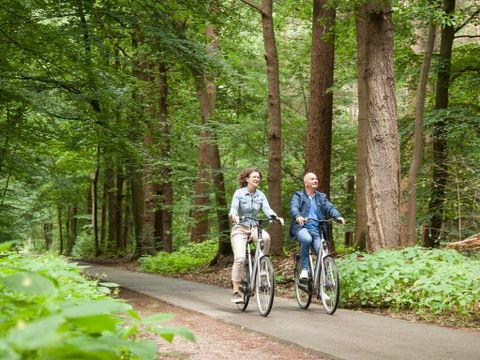 Landal Rabbit Hill - Camping Apeldoorn - Image N°26