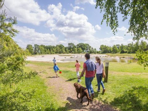 Landal Twenhaarsveld - Camping Rijssen-Holten - Image N°8