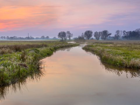 Landal Twenhaarsveld - Camping Rijssen-Holten - Image N°14