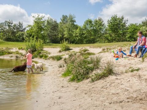 Landal Twenhaarsveld - Camping Rijssen-Holten - Image N°7